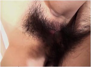 hairy pussy - japanese homeporn